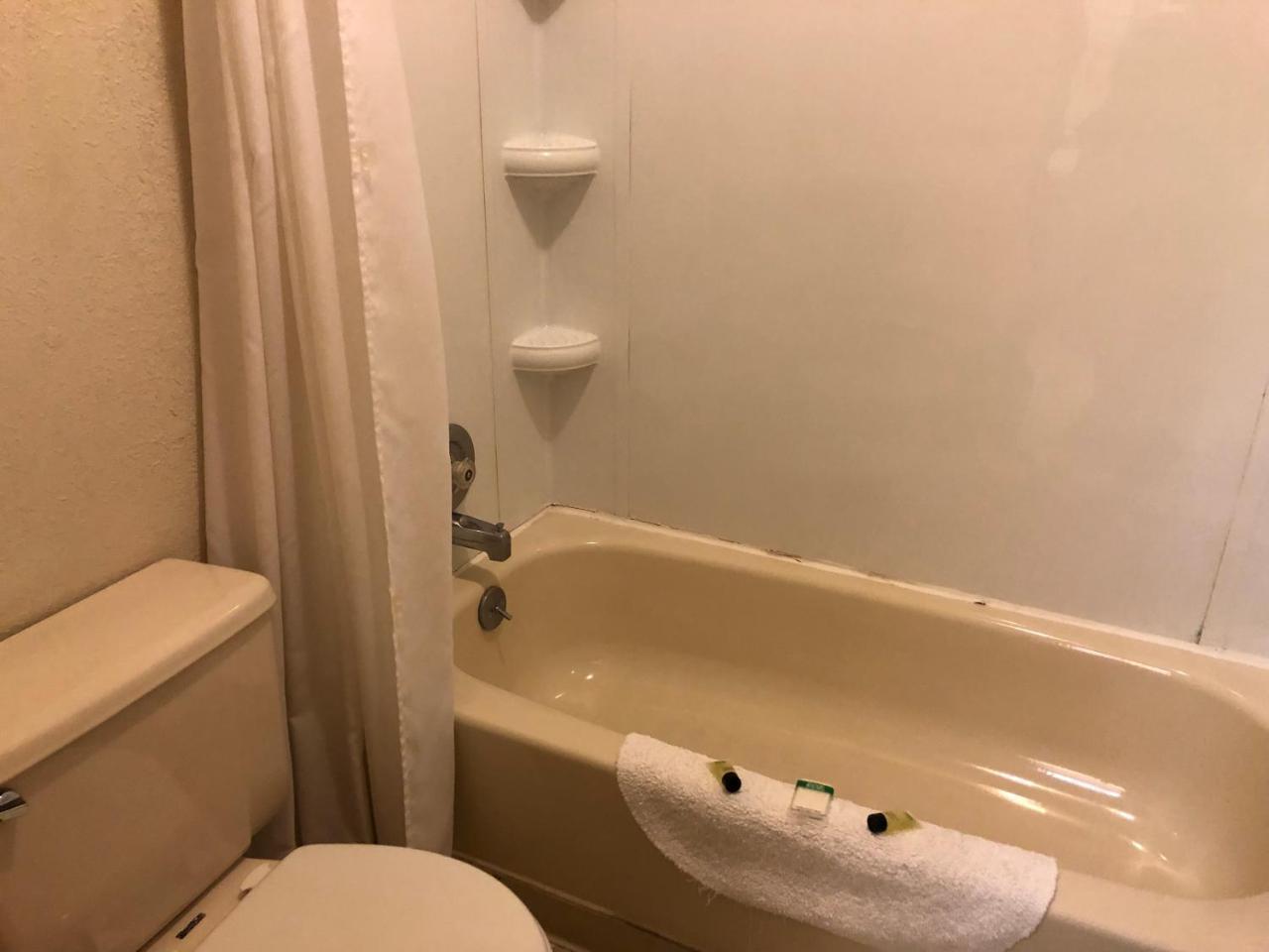 The Golden Bear Motel Ток Екстериор снимка